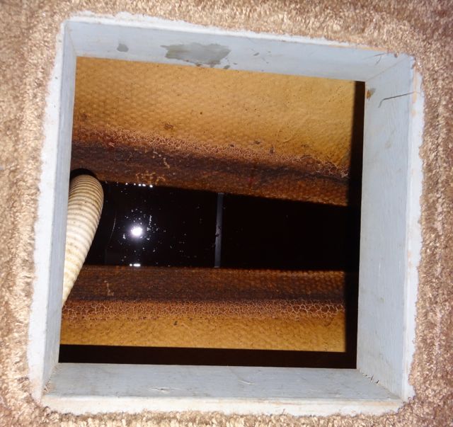 Check your bilge