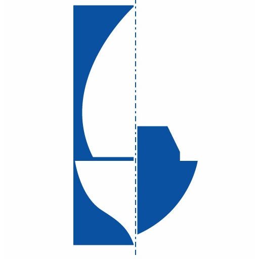 Icon Maritime Surveyors